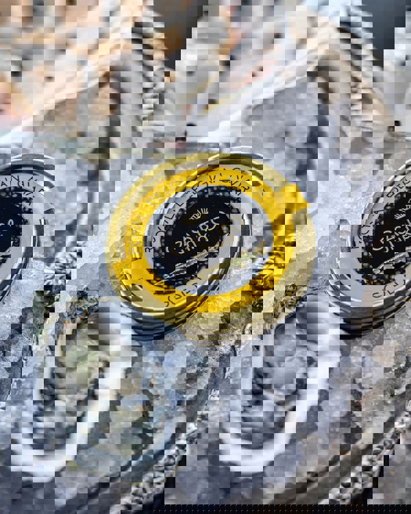 Bavn RAISFOTO C1 6090 Web