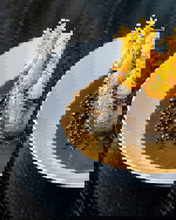 Bavn RAISFOTO C1 7261