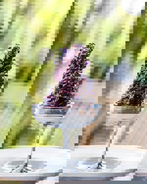 Bavn RAISFOTO C1 7015